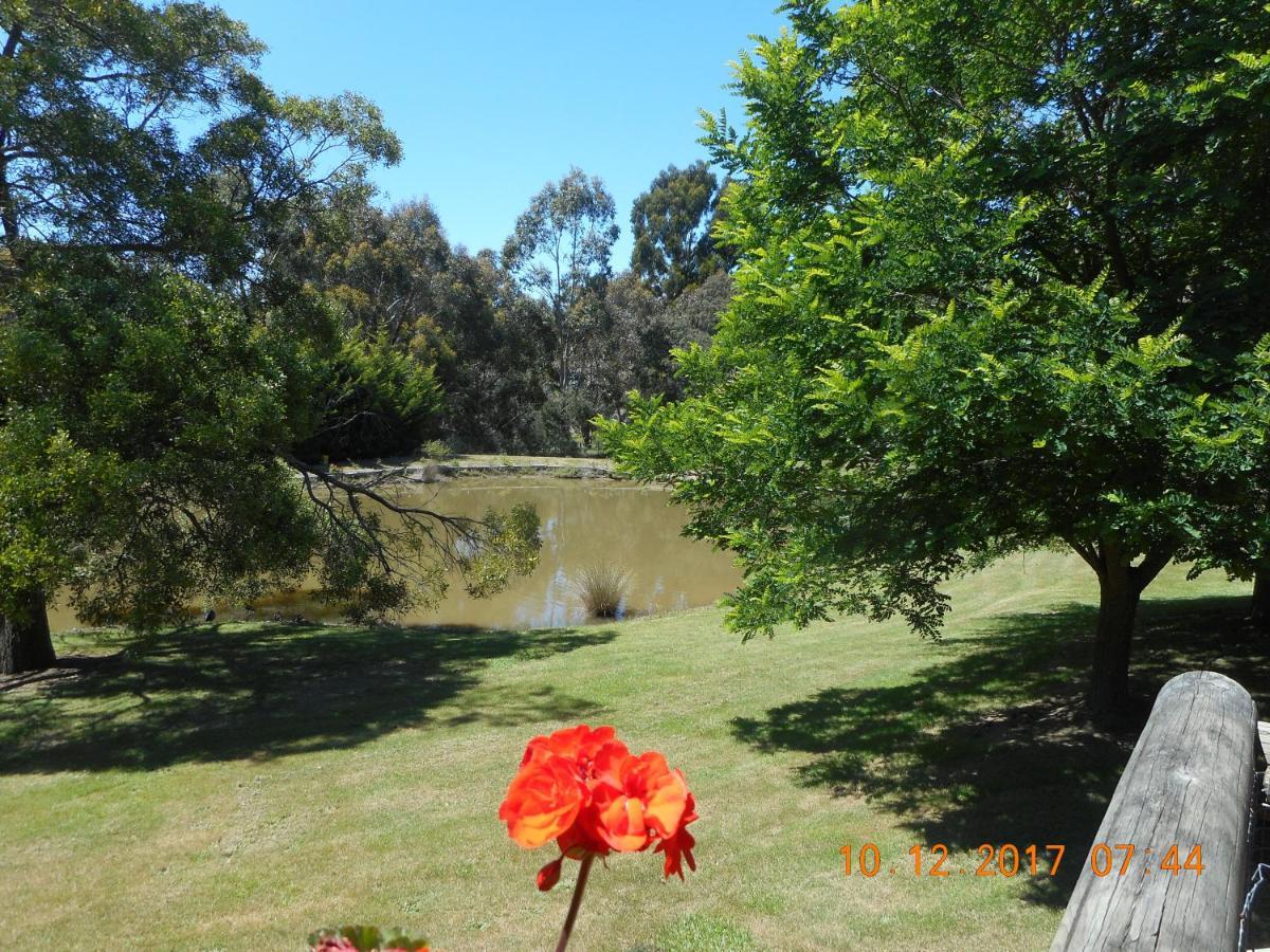 Wurrung B&B - The Cottage Woodend Exterior foto