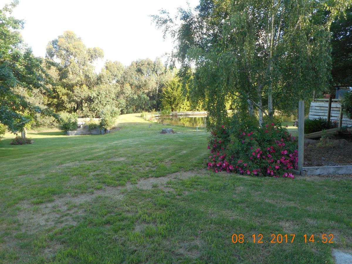 Wurrung B&B - The Cottage Woodend Exterior foto